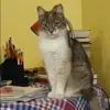 Отзыв от Олеся Свиридова